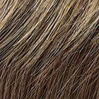 INFATUATION ELITE - wig by Raquel Welch - BeautyGiant USA