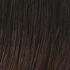 CRUSHING ON CASUAL - Wig by Raquel Welch - Sheer Indulgence�??? - BeautyGiant USA