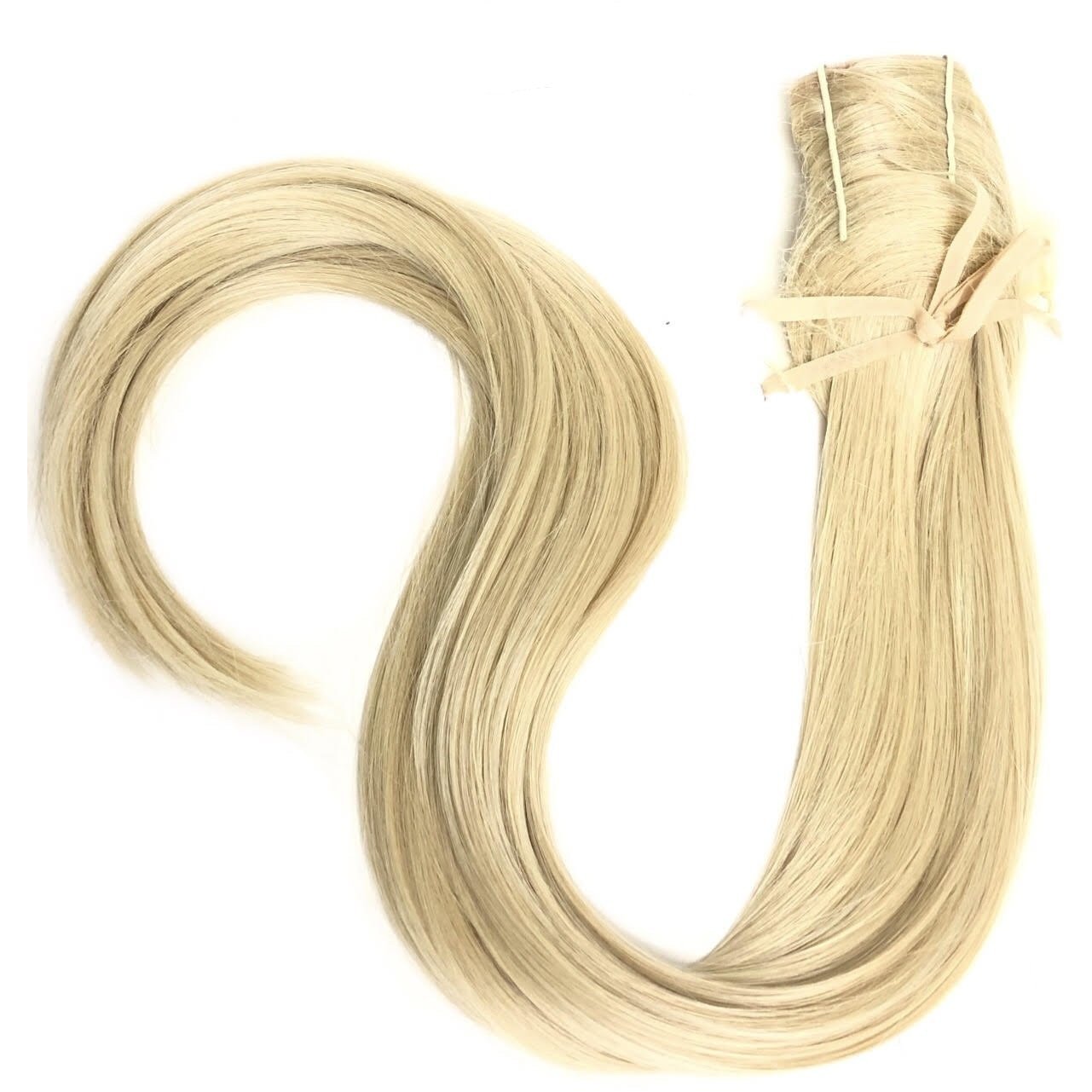25" Straight Pony | HF Synthetic Ponytail (Wrap Around) by Hairdo - BeautyGiant USA
