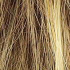 WINNER ELITE AVERAGE WIG By Raquel Welch - BeautyGiant USA