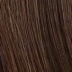 SPARKLE EILITE - wig by Raquel Welch - Sheer Indulgence�??? Temple to Temple Lace Front - BeautyGiant USA