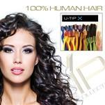U-Tip System - Curly - beautygiantusa.com