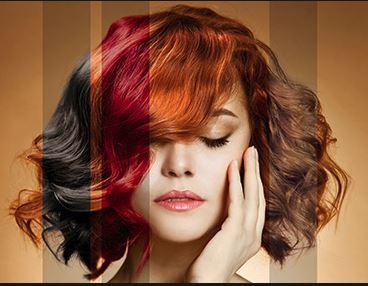 Hair Coloring Single Process - beautygiantusa.com