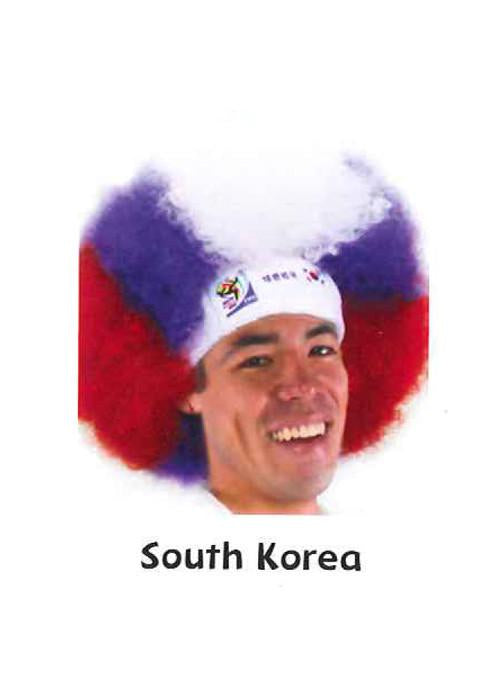 Official Fifa Soccer Afro Wig - beautygiantusa.com